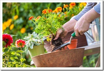 Spinal Health Gardening Valdosta GA