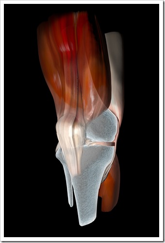 Knee Pain Valdosta GA Sports Injury