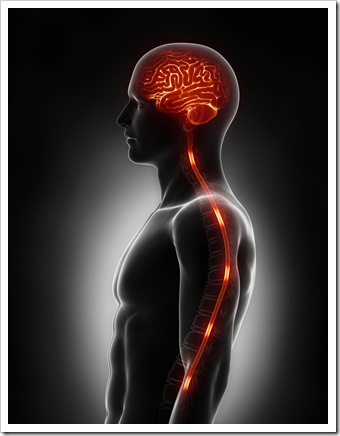 Chronic Back Pain Valdosta Spinal Cord Stimulator