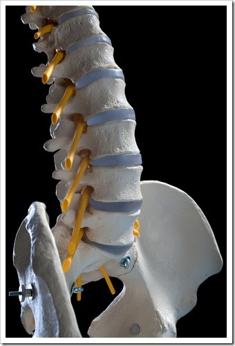 Herniated Disc and Back Pain Valdosta GA