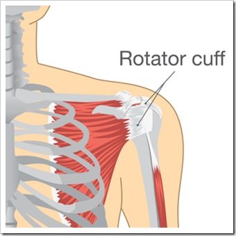Shoulder Pain Valdosta GA Rotator Cuff Injury